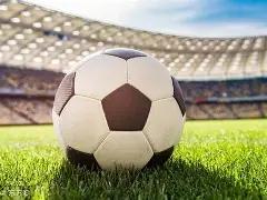 我国排球协,会全面叫停,月赛事,LEYU,Sports,乐鱼体育,体育直播,体育赛事,APP下载,官方网地址