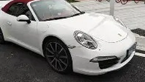 广西揭示全新极度濒危物种——全州报春苣苔